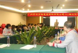 派卫格2013年会