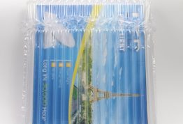 气柱缓冲袋应用