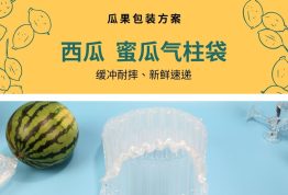 西瓜、蜜瓜气柱袋-瓜果包装方案 缓冲耐摔