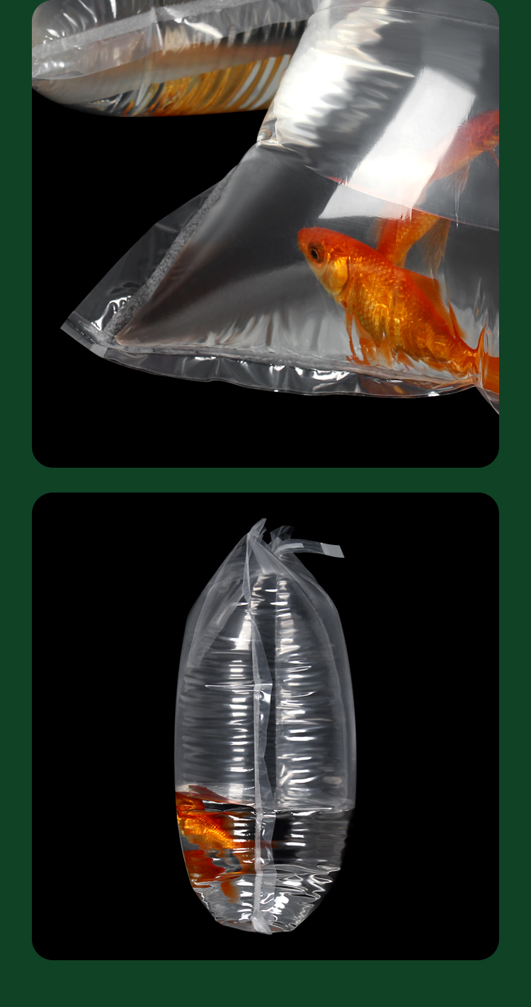 金鱼活鱼充氧运输袋